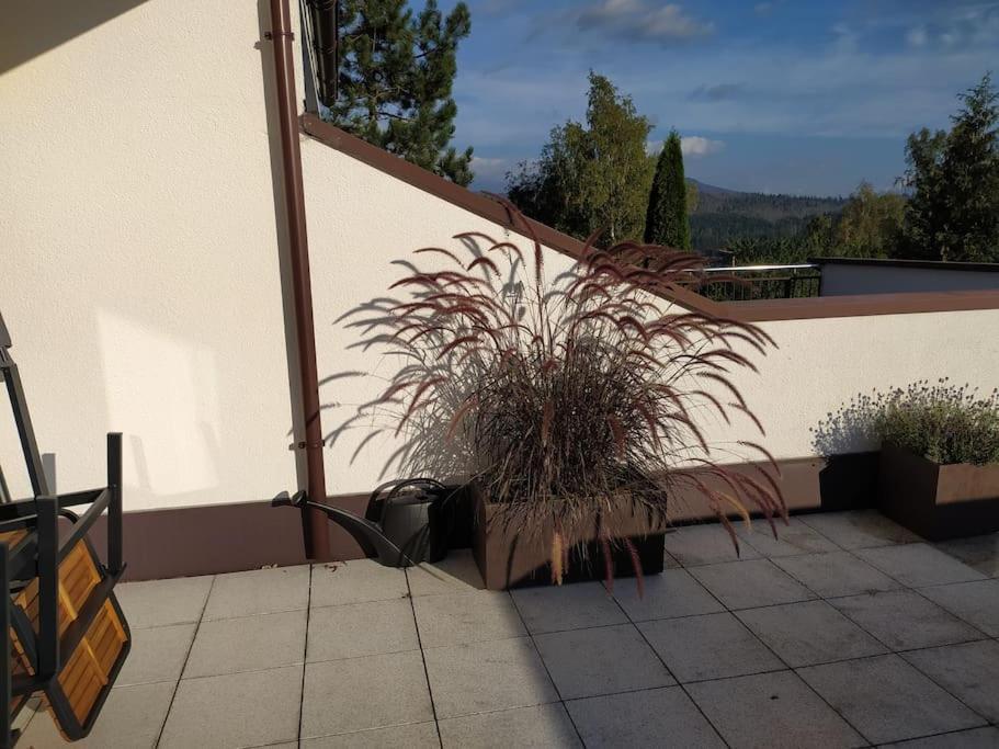 Apratman Julie - Bavorska Ruda Apartment Bayerisch Eisenstein Exterior photo